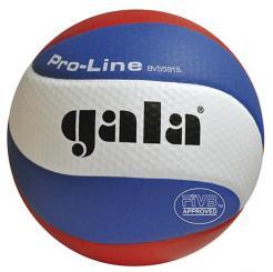 Míč na volejbal Gala Pro-Line 10 FIVB BV5591S 