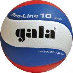 Míč volejbalový Gala Pro-Line 10 BV5581S 