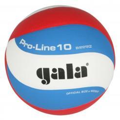 Míč volejbalový Gala Pro-Line 10 BV5121S 