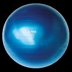 YATE Gymball - 65 cm modrý  