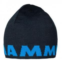 Zimní čepice Mammut Logo Beanie 