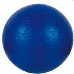 Gymball V3Tec 55cm 