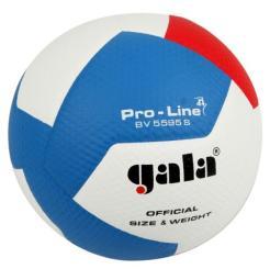 Míč volejbalový Gala Pro Line BV5595S 
