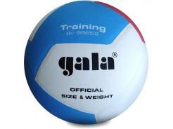 Míč na volejbal Gala Training 12 BV5565S 