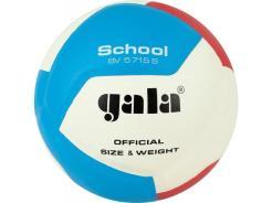 Míč na volejbal Gala School 12 BV5715S 