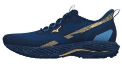 Pánské boty Mizuno WAVE RIDER TT 2 