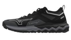 Dámské běžecké boty Mizuno Wave Ibuki 4 GTX 